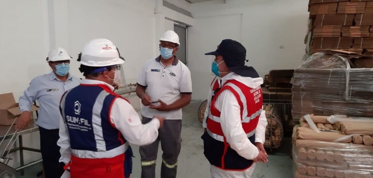 Empleados de Sunafil